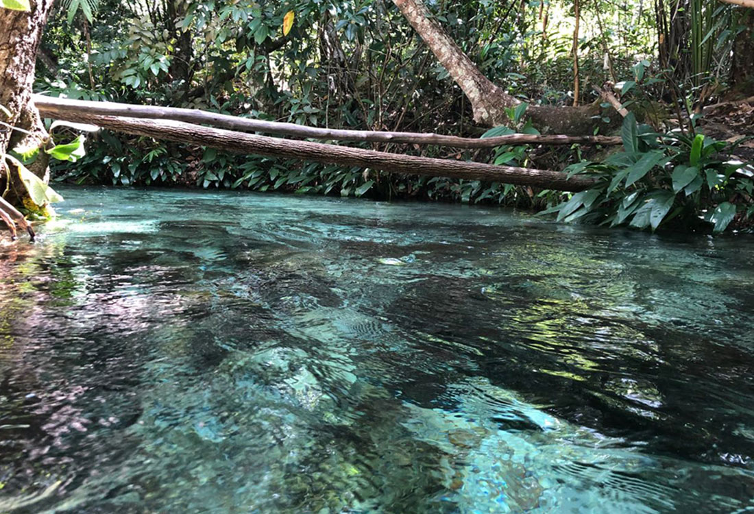 utv_off_road_proatv_jalapao1-3                                                    