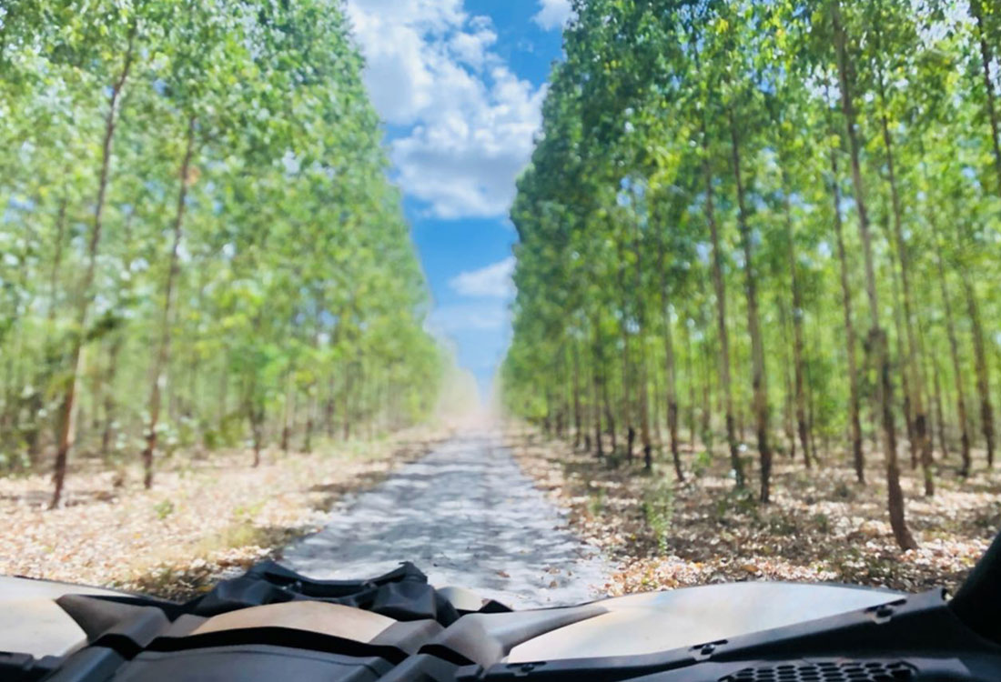 utv_off_road_proatv_jalapao11-3                                                    